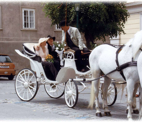 Beispiel: Die Kutsche für Ihren großen Tag, Foto: Fiaker Wien.